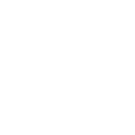 Element 5 Element 5